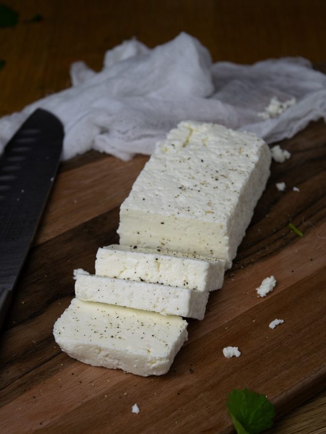 पनीर को अंग्रेजी में क्या बोलते हैं? क्या आपको पता है जवाब?