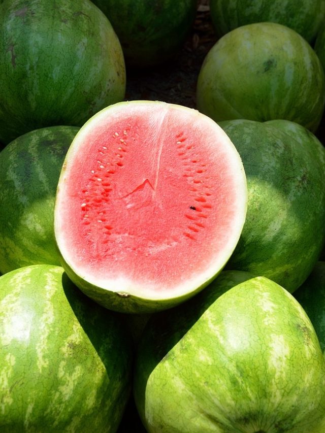 আর ঠকবেন না, না কেটেই ভালো মিষ্টি তরমুজ চিনুন ৭ উপায়ে