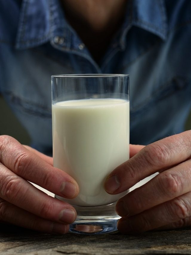 সকাল,সন্ধ্যা না রাত? দুধ খাওয়ার সঠিক সময় কখন?