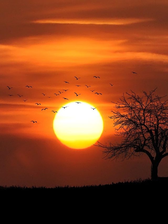 स्पेस में तो ऑक्सीजन नहीं है फिर सूरज कैसे जलता है?