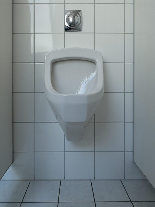 দাঁড়িয়ে না বসে, ছেলেদের কীভাবে প্রস্রাব করা ভাল? ইউরোলজিস্টের টিপস