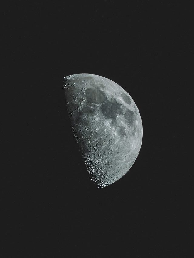 फाल्गुन पूर्णिमा पर रहेगा दुर्लभ संयोग, घर ले आएं इनमें से कोई ये एक चीज