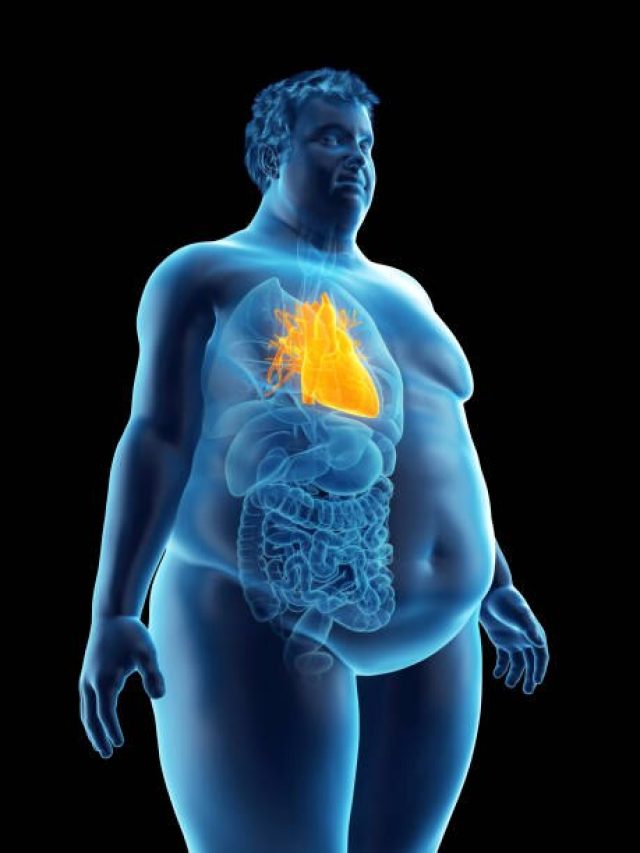 पेट पर लटक रही चर्बी को गला सकती है ये फैट कटर ड्रिंक, बस रोज ऐसे पिएं