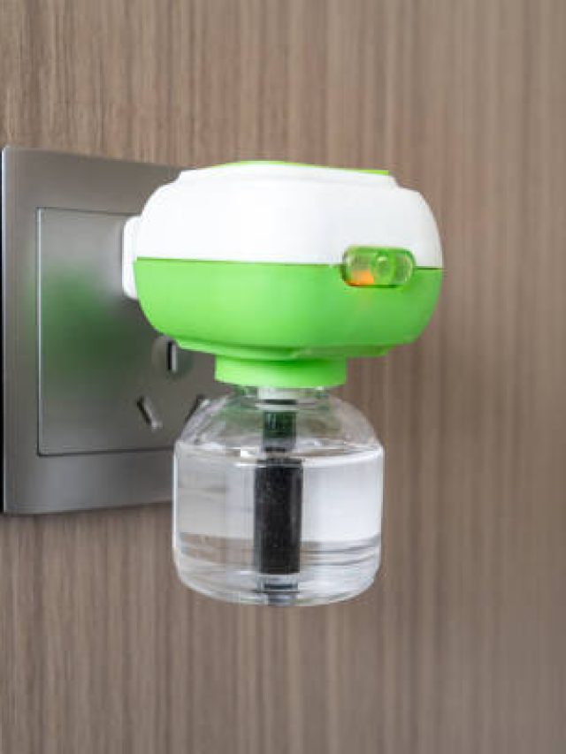 ২০ টাকা খরচে বাড়িতেই বানান মশা মারার তেল, টেকনিকটা জানুন