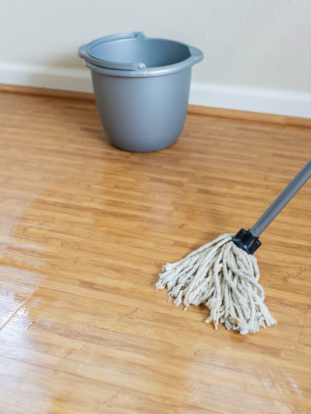 ঘর মোছার জলে মেশান এই গোলাপি জিনিস, ঘরে পড়বে মা লক্ষ্মীর পা