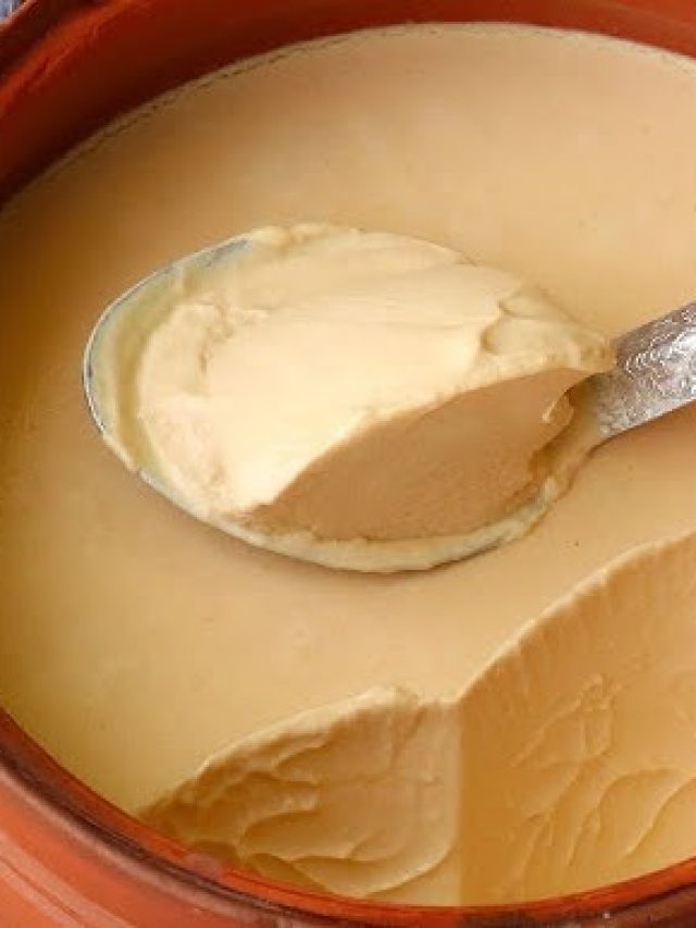 কলকাতার এই ৯ দোকানে সবচেয়ে সুস্বাদু মিষ্টি দই পাওয়া যায়