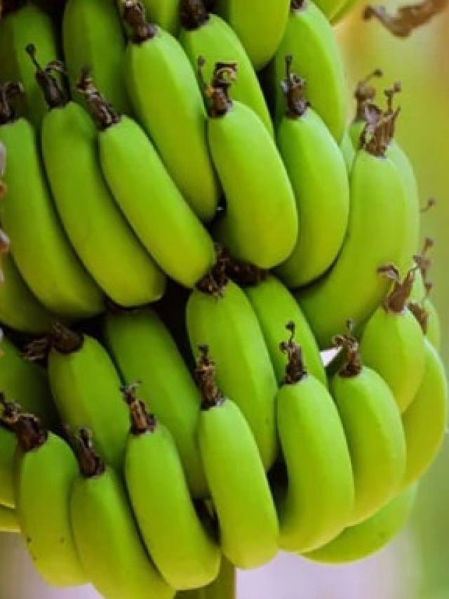 কাঁচকলা রান্নার আগে করতে হবে এই ছোট্ট কাজ, অনেক রাঁধুনি জানেই না