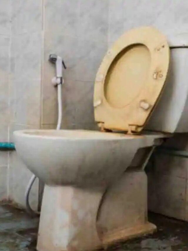 হলদেটে কমোড হবে ধবধবে সাদা, রান্নাঘরের দু'টাকার মশলায় হবে কাজ