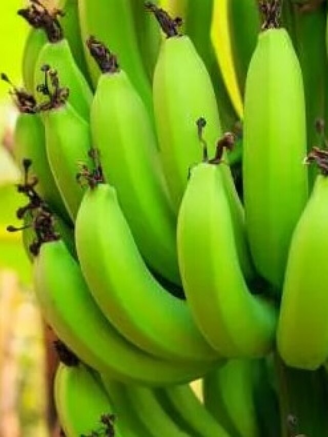 কাঁচকলা রান্নার আগে করতে হবে এই ছোট্ট কাজ, অনেক রাঁধুনি জানেই না