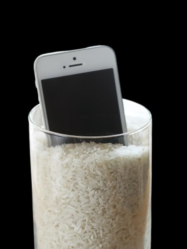 জলে ভিজে যাওয়া ফোন চালের বস্তায় রাখলে কী হবে? জানলেই ফায়দা