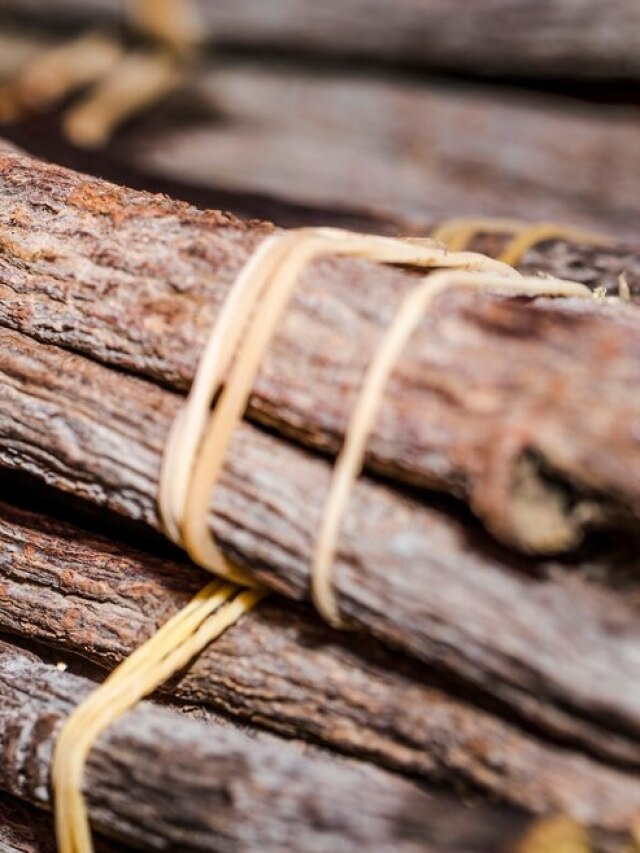 रोज सुबह खाली पेट पी लें अर्जुन की छाल का पानी, मिलते हैं ये फायदे