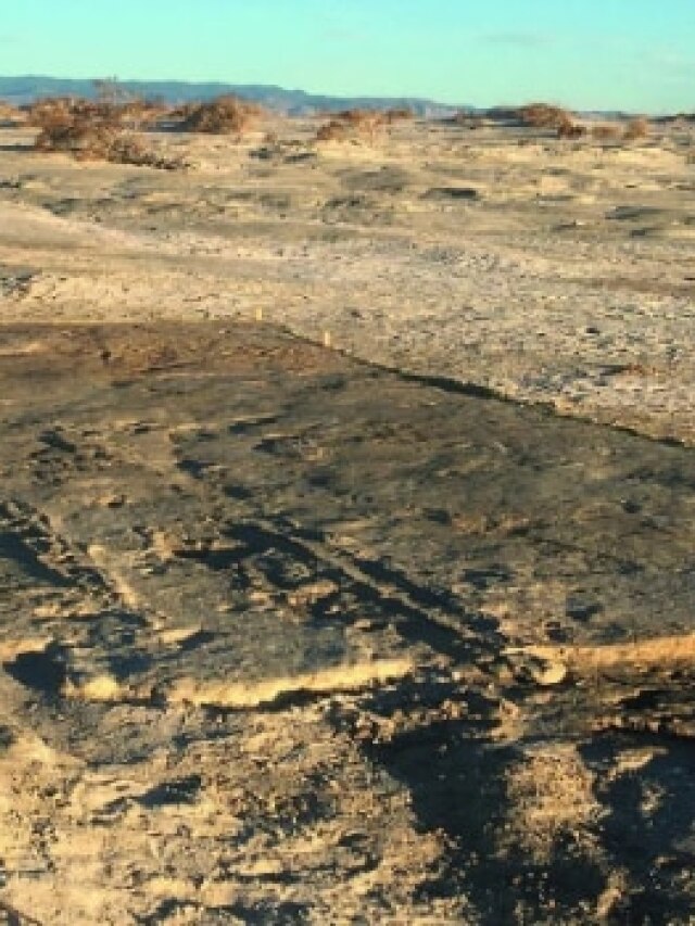 '20,000-year-old drag marks’: This could be the world’s first ‘vehicle’