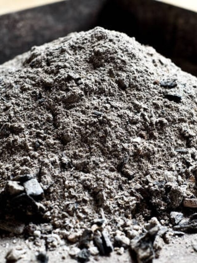 होलिका दहन की राख से जरूर करें ये एक काम, टलेगा राहु-केतु का संकट