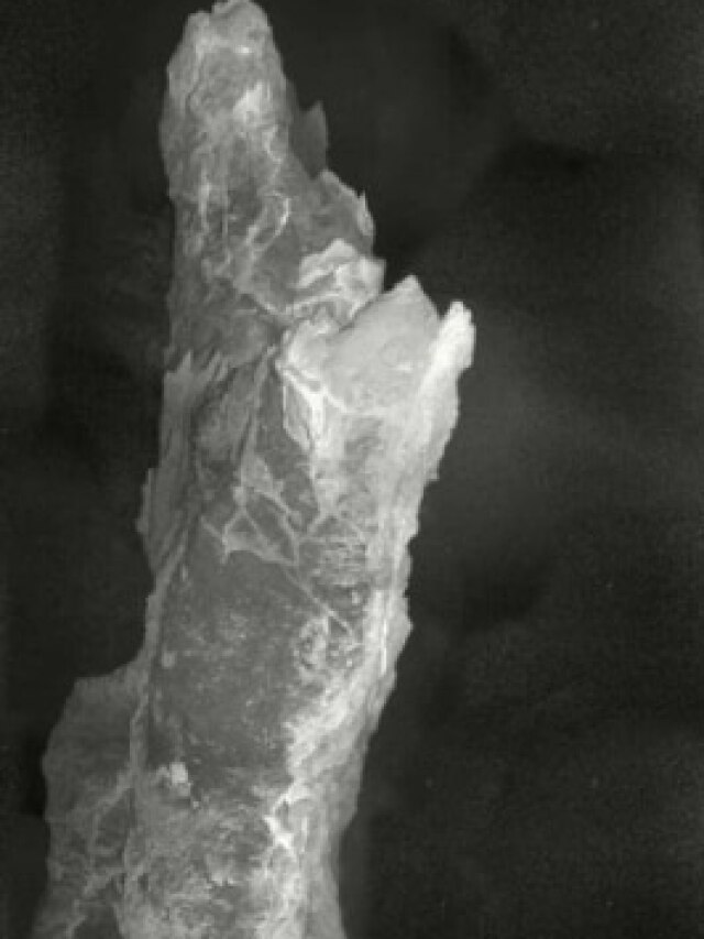 ‘120,000-year-old’: Mysterious city in the Atlantic that thrives without sunlight found