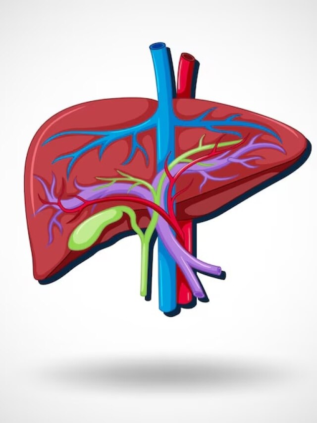 60 की उम्र में चाहिए 30 साल वाला लिवर? इन चीजों को आज से ही खाना करें शुरू
