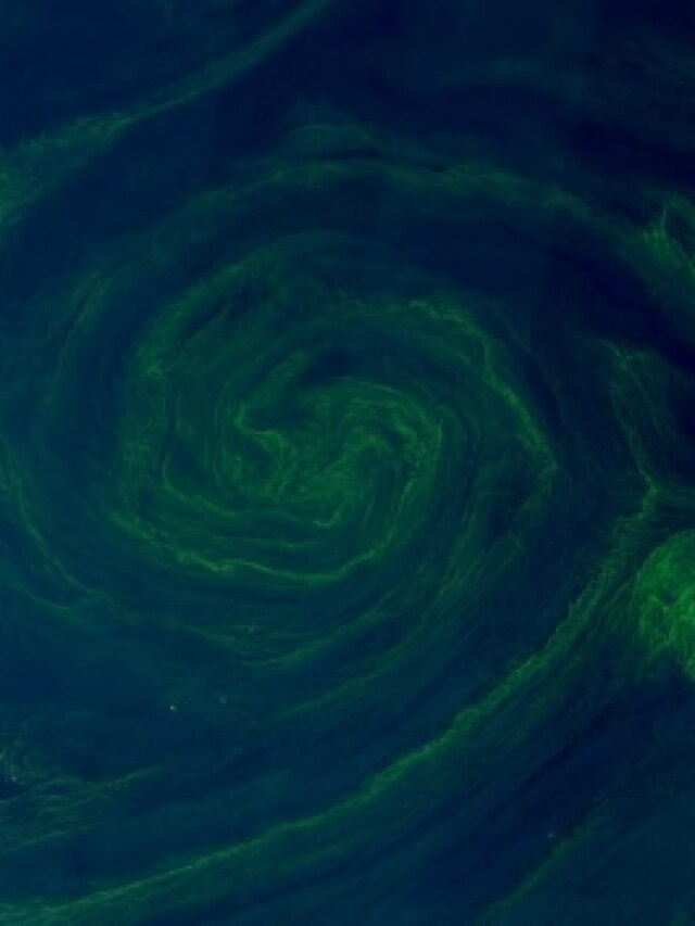 'Mysterious green glow’: Gulf of Oman lights up but it’s a sign of spreading disaster