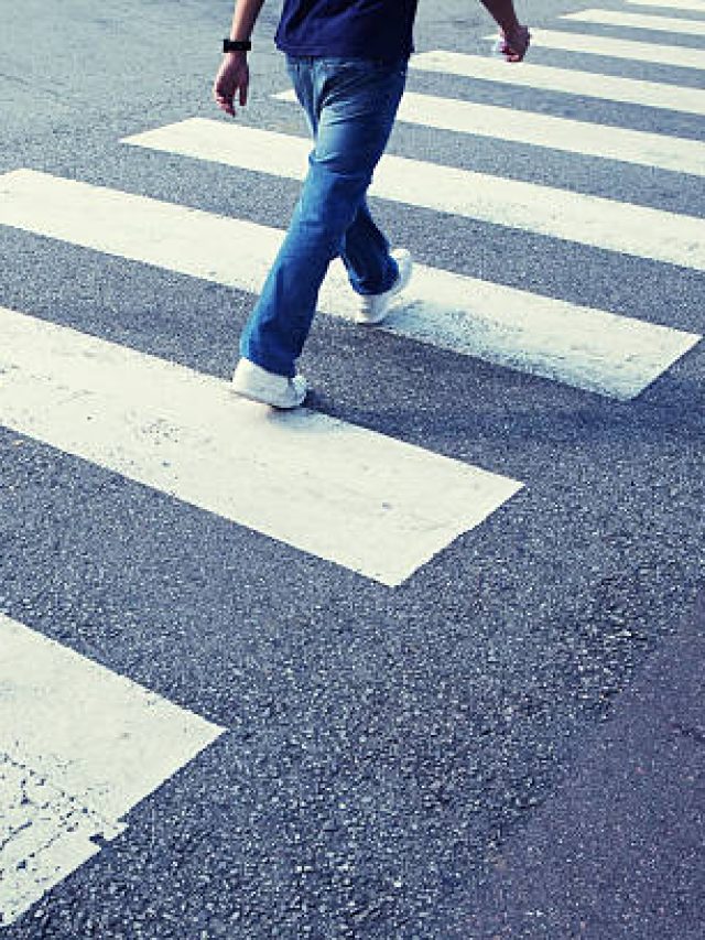 রাস্তায় জেব্রা ক্রসিং কেন সাদা-কালো হয়?