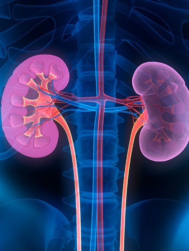 কিডনির ষষ্ঠীপুজো হয়ে যাবে, ইতি টানুন এই ৬ খাবারে