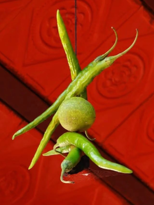 ভাগ্য ফেরাতে কোন দিন টাঙানো উচিত লেবু ও লঙ্কা