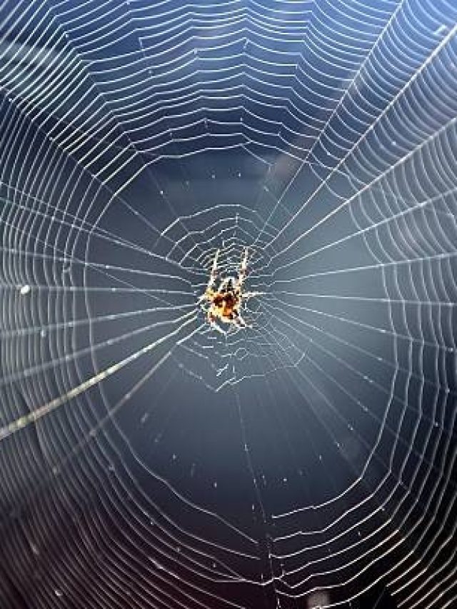 कुबेर के रूठने का संकेत हैं ये 3 चीजें, घर से चली जाएगी खुशहाली