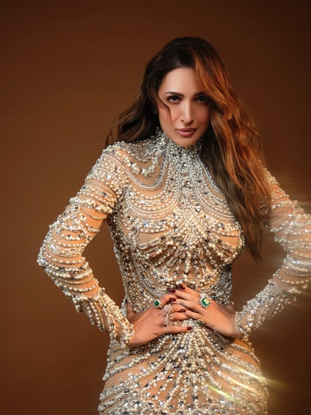 मलाइका के घर में चुपचाप कैंची लेकर घुसी फैन, देखकर चौंकीं एक्ट्रेस, बोलीं- डरावना था