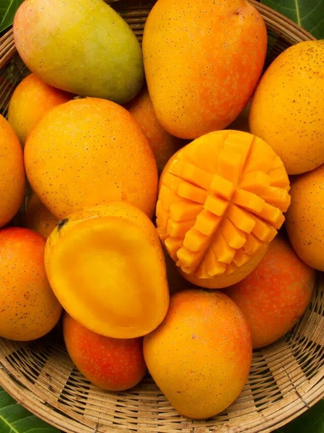 গাছপাকা বুঝবেন কী করে? আম চেনার টিপস দিলেন ফলওয়ালা