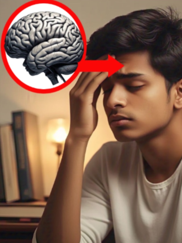 কমছে বুদ্ধি, ভুলো মন! এই ৫ খাবার ব্রেনের সর্বনাশ করছে