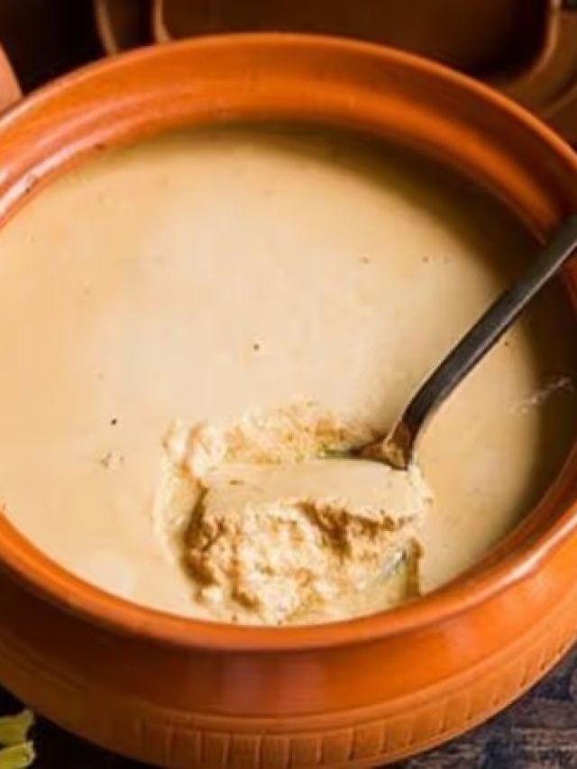 কোথায় টাটকা মিষ্টি দই পাবেন? রইল সেরা দোকানের হদিশ