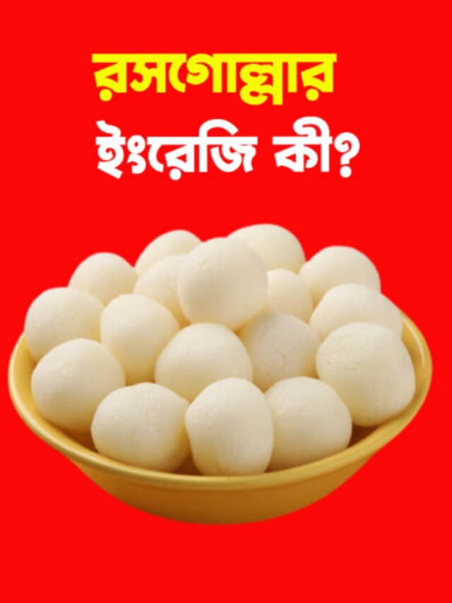 বাঙালির প্রিয় মিষ্টি রসগোল্লাকে ইংরেজরা কী বলে ডাকে?
