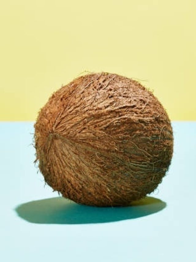 बेहद शुभ है घर में इन 3 चीजों को रखना, दिन दूनी रात चौगुनी होगी तरक्की