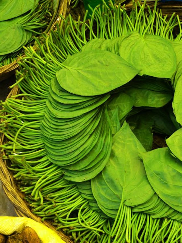 काफी बेशकिमती है ये हरा पत्ता...रोजाना करें सेवन, कोसो दूर भागेगा बुढ़ापा!