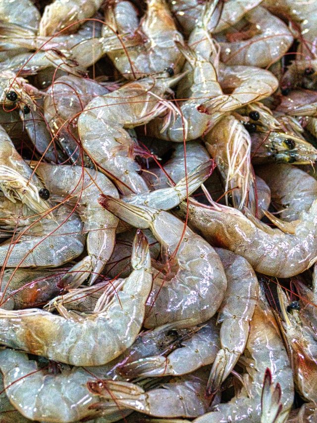 তাজা না পচা চিংড়ি, চিনবেন কীকরে? শিখে রাখুন