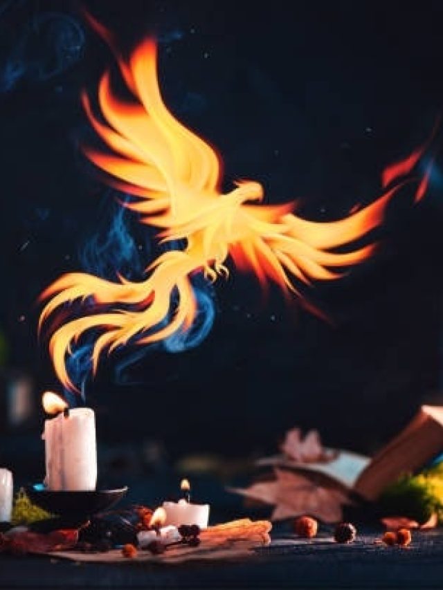 दक्षिण दिशा में लगाएं इस पक्षी की तस्वीर, घर में लौट आएगी खुशहाली