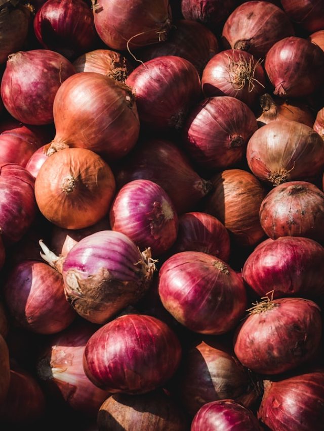 গরমে পেঁয়াজ আর পচবে না, ফ্রিজ ছাড়াই তাজা রাখার দুর্দান্ত ট্রিকস
