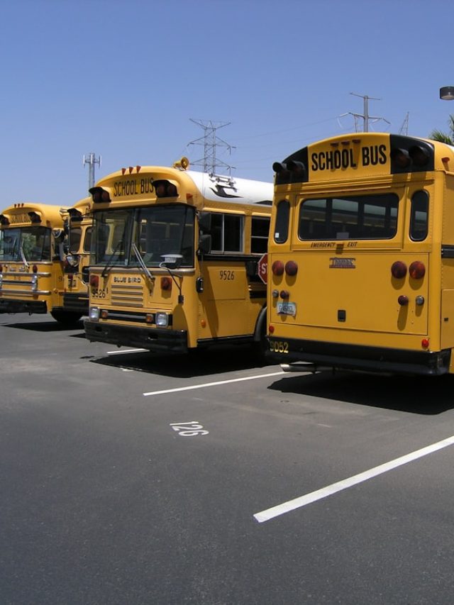 এই জন্যই স্কুল বাসের রং হলুদ, আসল কারণটা জানেন?