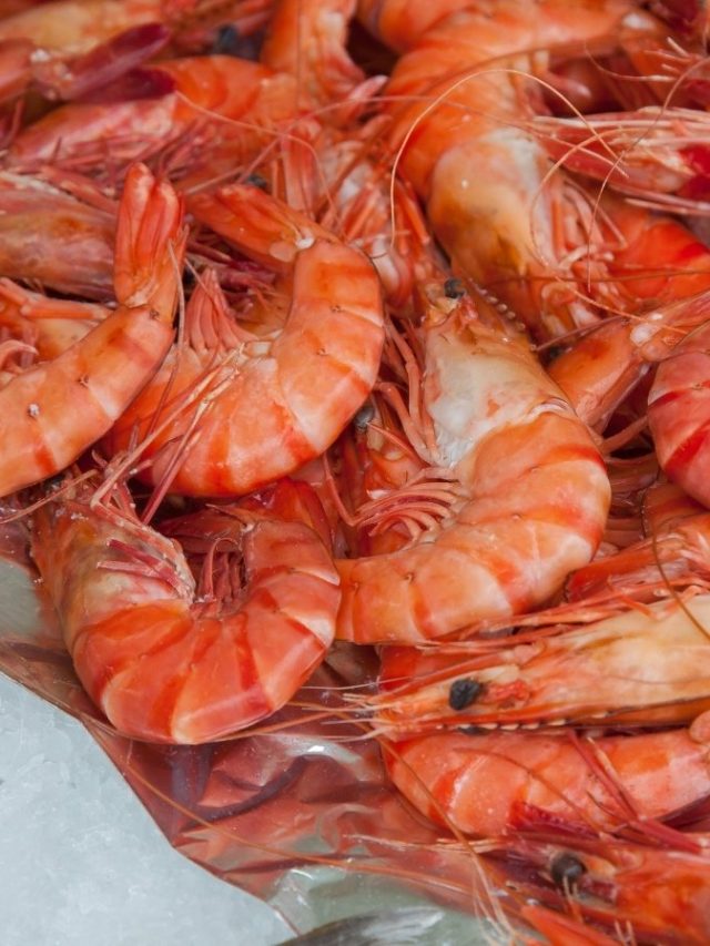 চিংড়ি টাটকা বুঝবেন কী করে? মাছওয়ালার টিপস