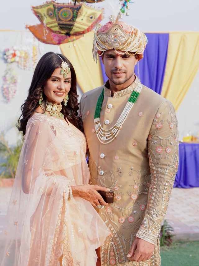 'उडारियां' फेम प्रियंका-अंकित का हुआ ब्रेकअप? इंस्टा पर किया अनफॉलो, फैंस दुखी