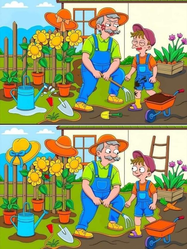 सिर्फ  तेज दिमाग वाले ही 10 सेकंड में खोज पाएंगे 8 गलती, क्या आप लेंगे चैलेंज