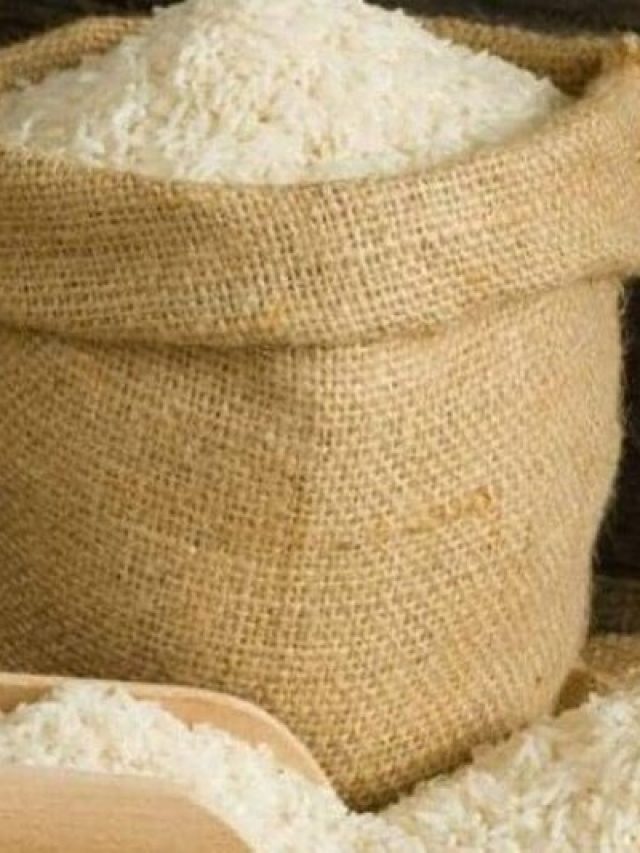 चावल-दाल में लग जाते हैं कीड़े तो उसमें डाल दें ये चीजें, फौरन निकल जाएंगे बाहर