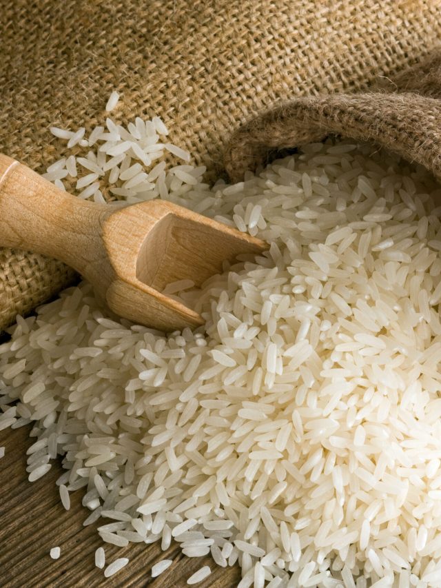 ৪ জনের পরিবারে ৫ কেজি চাল কতদিন চলবে? জেনে রাখা দরকার