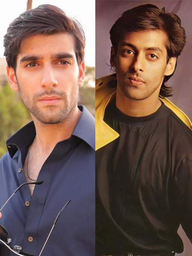 इस PAK एक्टर को बताया सलमान से बड़ा, एक्ट्रेस पर भड़कीं आवाम- दिमाग कहां है?