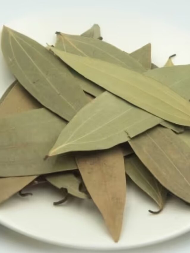 शुगर की काट है किचन में रखा ये सूखा पत्ता, रोज चबाने पर बीमारियां पास भी नहीं फटकेंगी