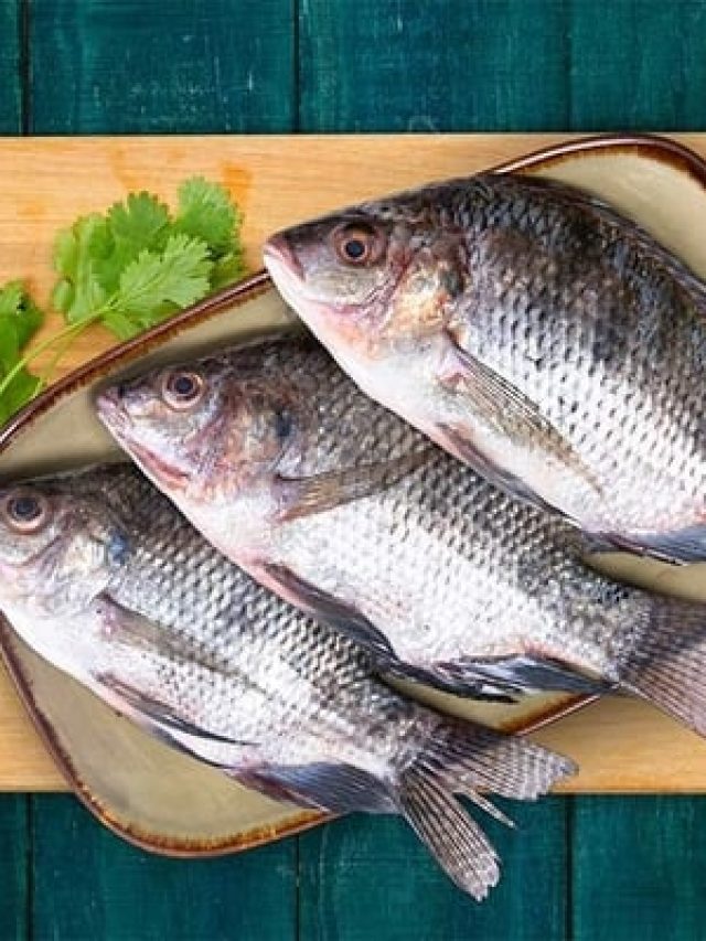 তেলাপিয়াকে ইংরাজিতে কী বলে? মাথা চুলকাচ্ছে শিক্ষিতরা