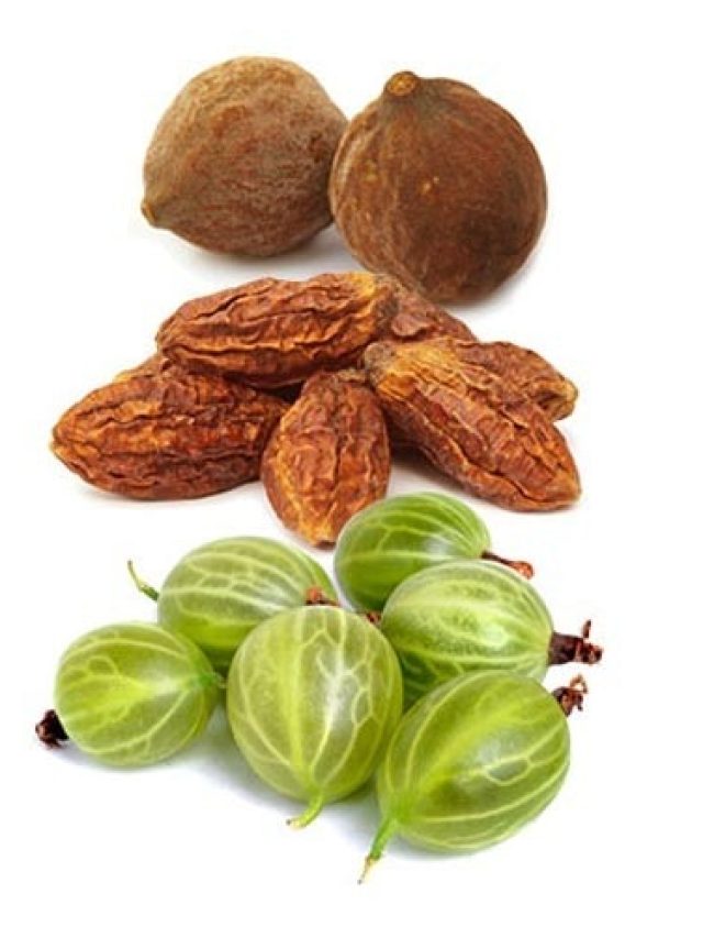 সকালে পেট সাফ হয় ত্রিফলায়, কখন- কীভাবে খেতে হয়?