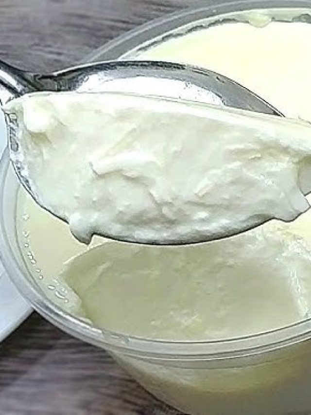 ছাঁচ ছাড়াই পাতুন দই, রইল সহজ ট্রিক
