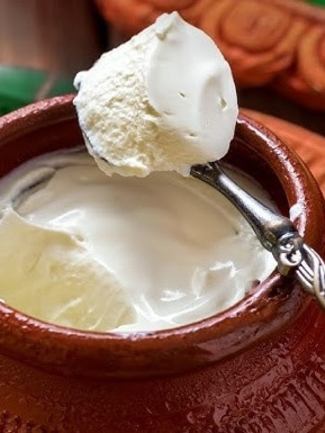 দই লাগবে না, টক দই ঘরে বানাতে  লাগবে স্রেফ এই জিনিস