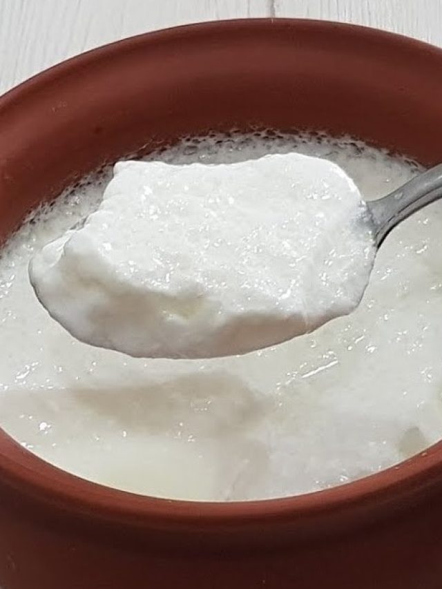 শ্রাবণে দই খেলে কী হয়? এই ৪ খাবার মুখেও তুলবেন না; জানুন বিজ্ঞান মত