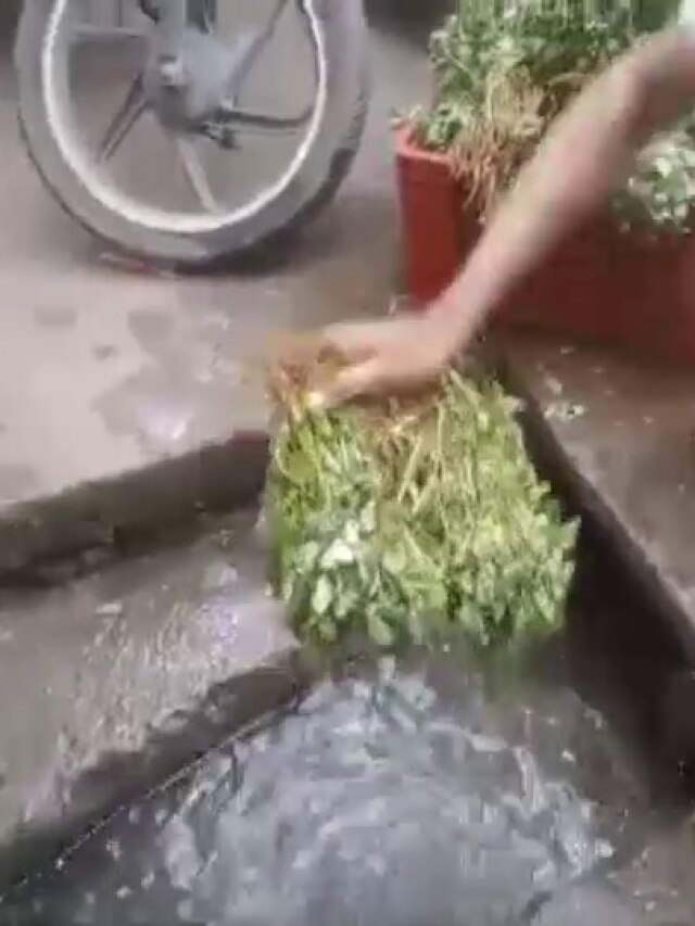 इस शहर में गटर के पानी से धोई जा रहीं सब्जियां, Video से खुला राज