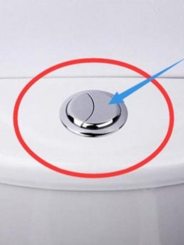 কমোডের ফ্ল্যাশে ২টো বোতাম থাকে, কোনটার কী কাজ জানেন?