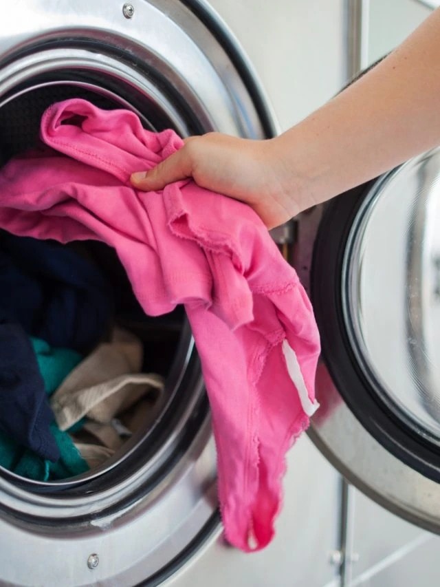 এই ৫ জিনিস ওয়াশিং মেশিনে দেবেন না, ধুতে গিয়ে যন্ত্র বিগড়াবে